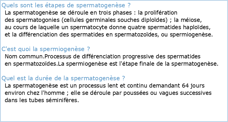 Spermatogenèse