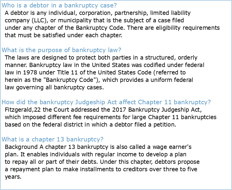 General Overview of the Debtor's Bankruptcy Proceedings
