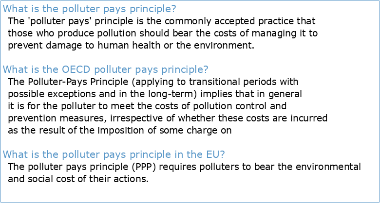 Special Report 12/2021: The Polluter Pays Principle