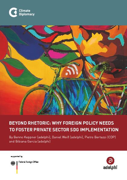 [PDF] Why foreign policy needs to foster private sector SDG implementation