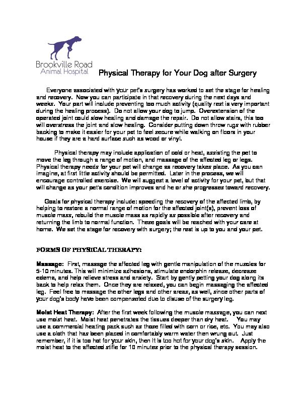 [PDF] Physical Therapy for Your Dog after Surgery - Brookville Road