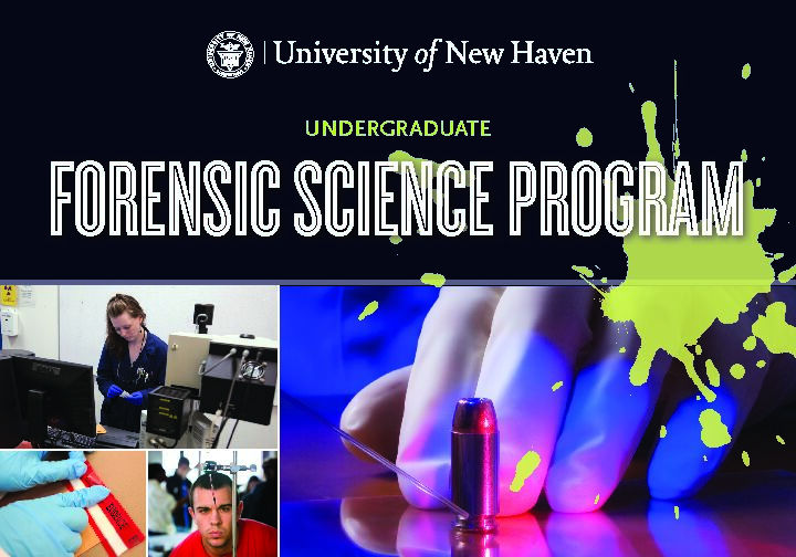 [PDF] UNDERGRADUATE - University of New Haven