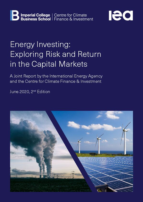 [PDF] Energy Investing: Exploring Risk and Return in the Capital Markets