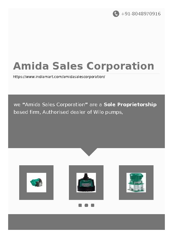 [PDF] Amida Sales Corporation - IndiaMART