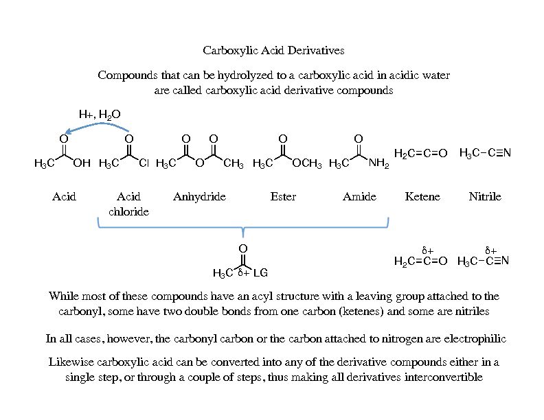 [PDF] 18H-acid derivativespdf