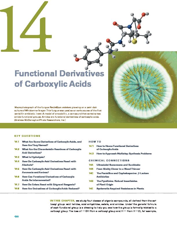 [PDF] Functional Derivatives of Carboxylic Acids