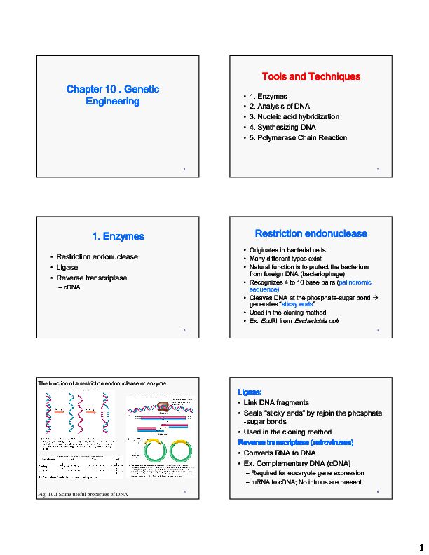 [PDF] Chapter 10  Genetic Engineering
