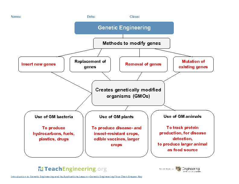 [PDF] Genetic Engineering