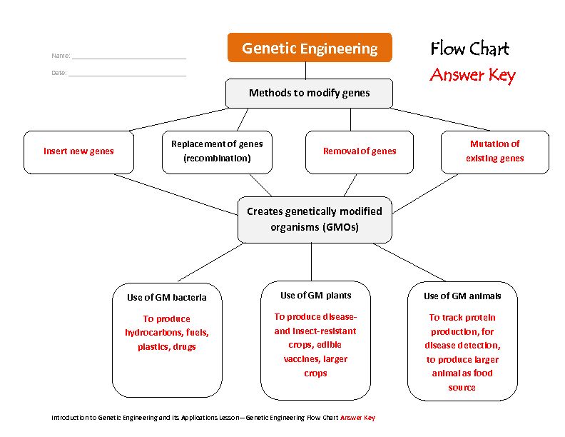 [PDF] Flow Chart Answer Key - Teach Engineering