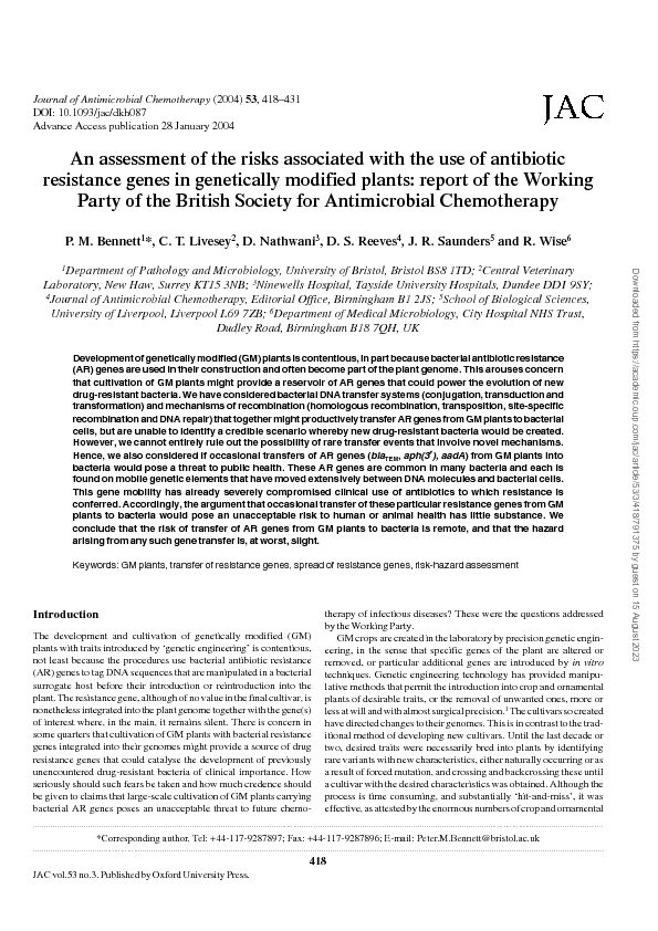 An assessment of the risks associated with the use of antibiotic