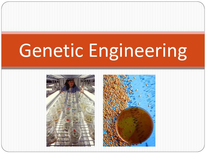 [PDF] Genetic Engineering - Teach Engineering