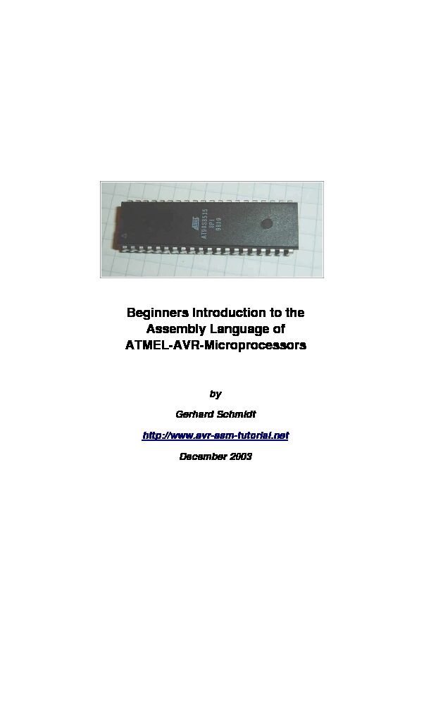 [PDF] AVR-Assembler-Tutorialpdf