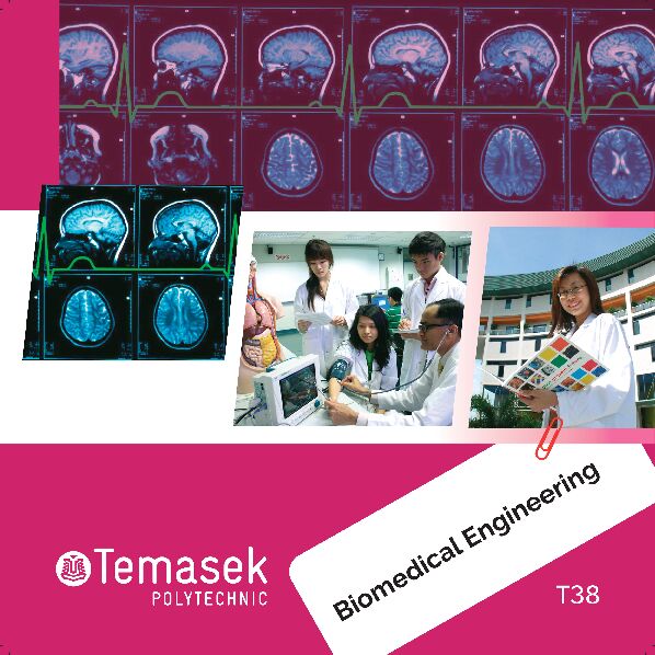 [PDF] T38 Biomedical Engineering