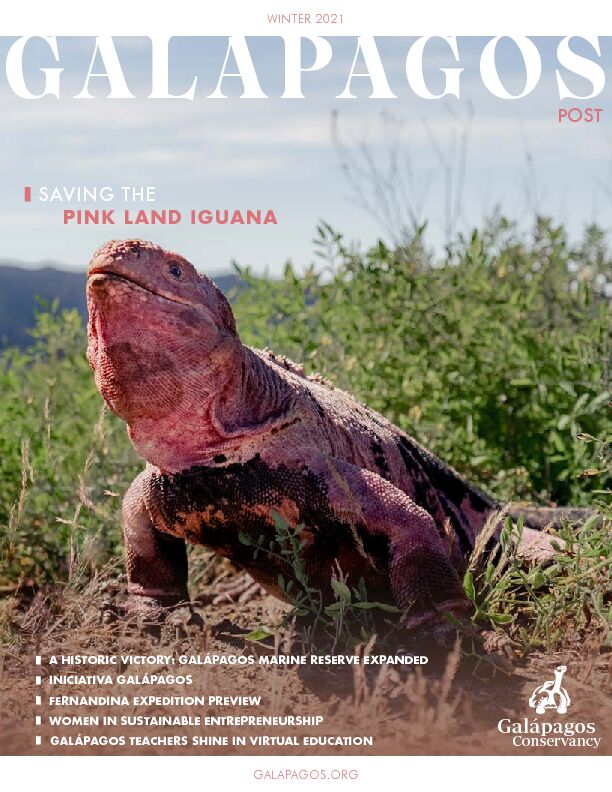 [PDF] Galapagos-Post-Winter-2021pdf - Galápagos Conservancy