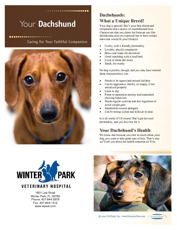 [PDF] Caring for your Dachshund - Winter Park Veterinary Hospital