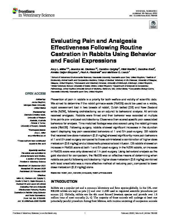 Evaluating Pain and Analgesia Effectiveness Following Routine