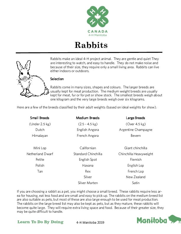 [PDF] Rabbits