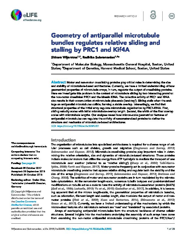 [PDF] Geometry of antiparallel microtubule bundles regulates relative
