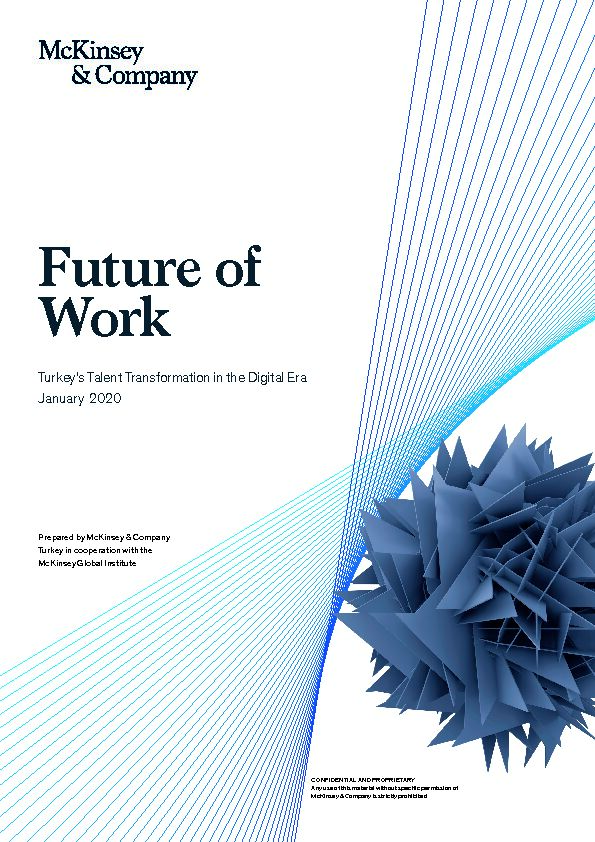 [PDF] Future of Work: Turkeys Talent Transformation in the Digital Era