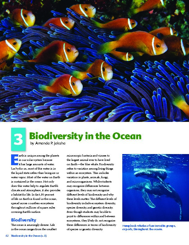 3 Biodiversity in the Ocean
