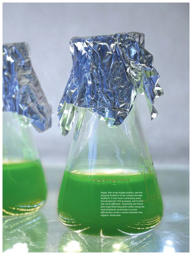 [PDF] Algae, like most higher plants, use the enzyme RuBisCO to fix