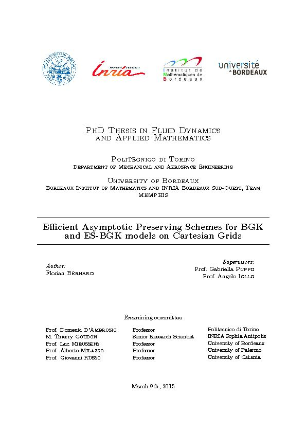 [PDF] PhD Thesis in Fluid Dynamics and Applied Mathematics