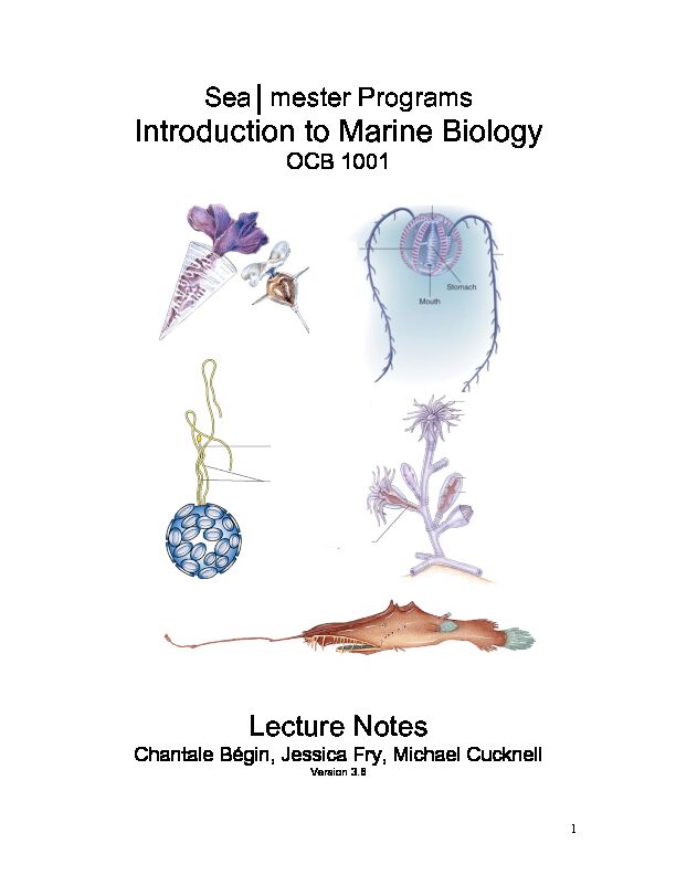 [PDF] Introduction to Marine Biology - Seamester