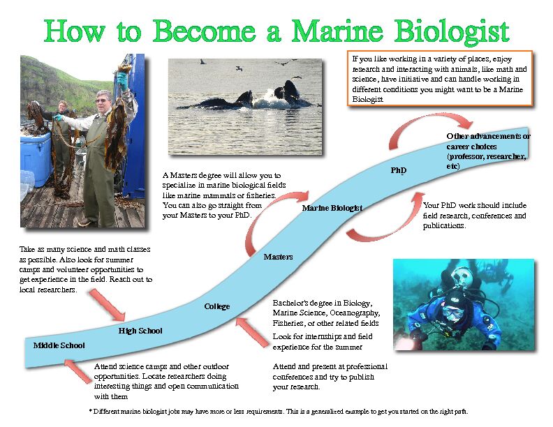 [PDF] How to Become a Marine Biologist - University of Alaska Fairbanks