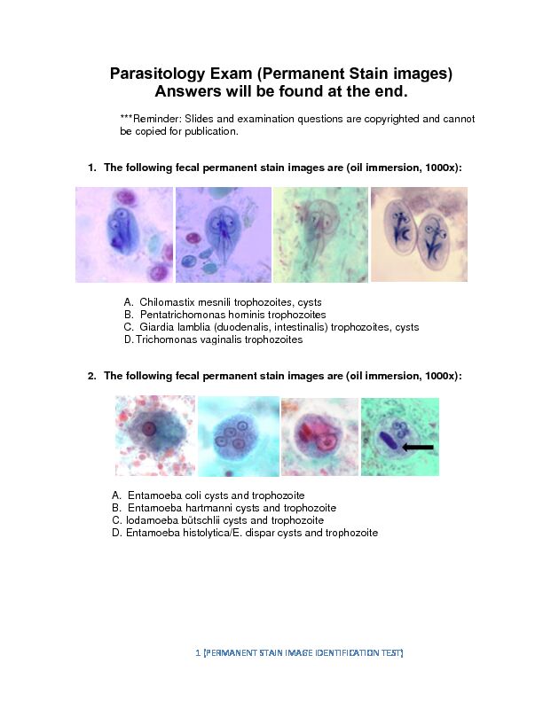[PDF] Parasitology Exam (Permanent Stain images) Answers will be found