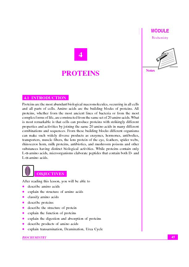 [PDF] 4 PROTEINS - NIOS