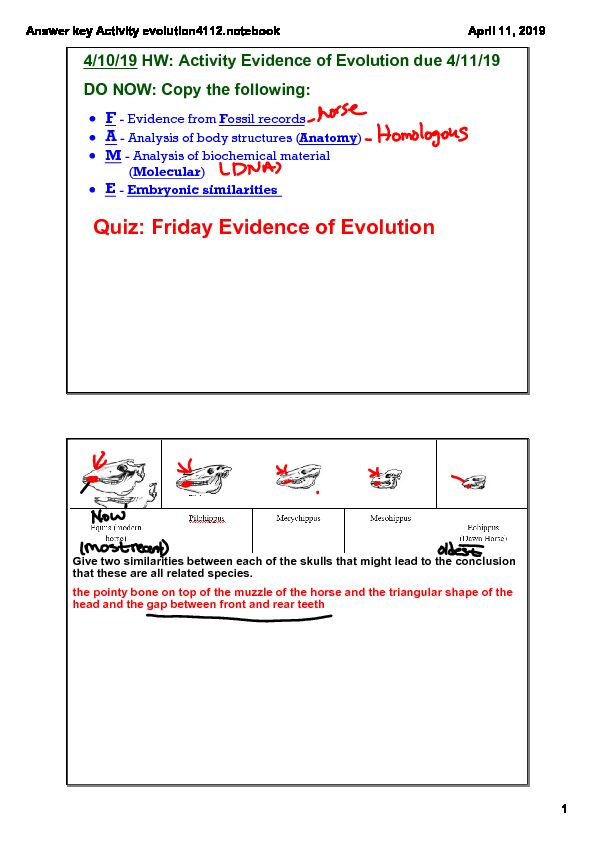 [PDF] Answer key Activity evolution4112notebook