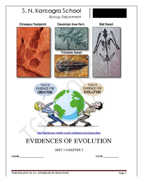 [PDF] evidences of evolution - biology4isc