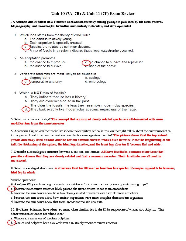 [PDF] Unit 10 (7A, 7B) & Unit 11 (7F) Exam Review - Houston ISD