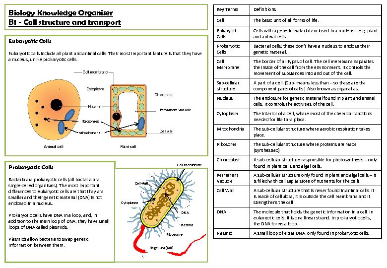 Biology Knowledge Organiser B1 - Cell structure and transport