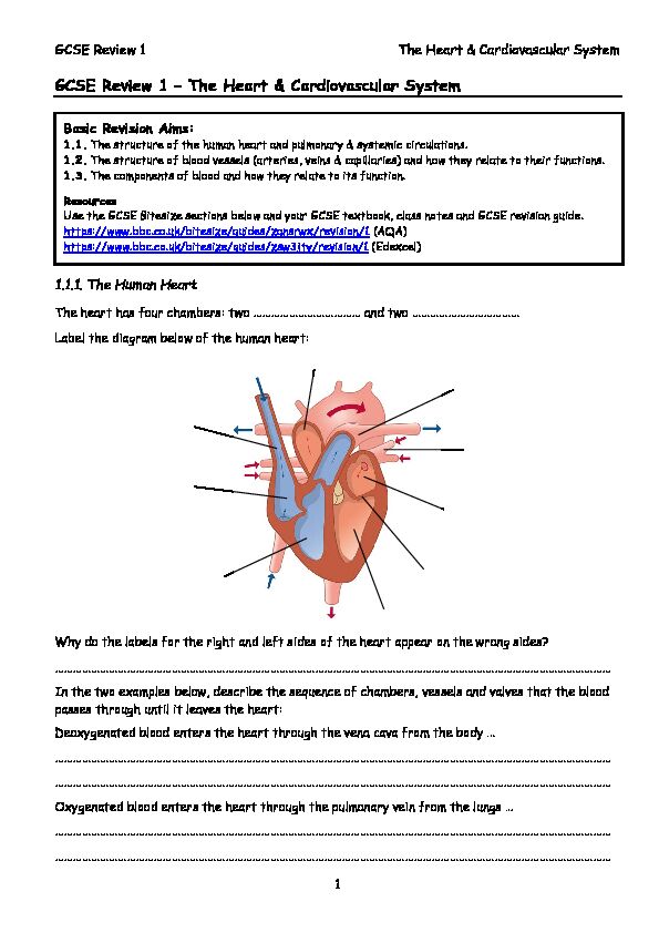 GCSE Review 1 – The Heart & Cardiovascular System