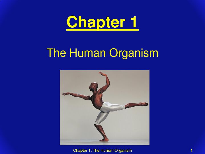 [PDF] Chapter 1: The Human Organism - Coastal Bend College