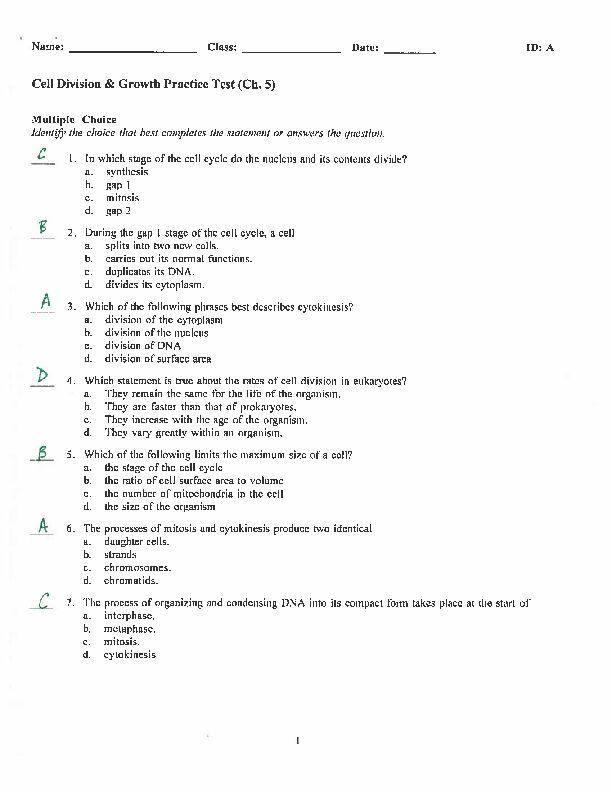 Cell Division & Growth Practice Test (Ch 5) - Biology - Mr Hacker