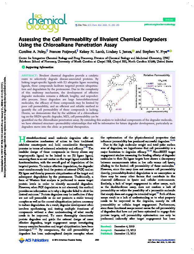 Assessing the Cell Permeability of Bivalent Chemical Degraders