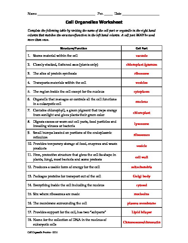 Cell Organelles Worksheet - Pearland ISD