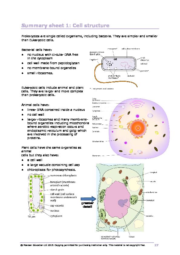 Summary sheet 1: Cell structure - OKEHAMPTON COLLEGE