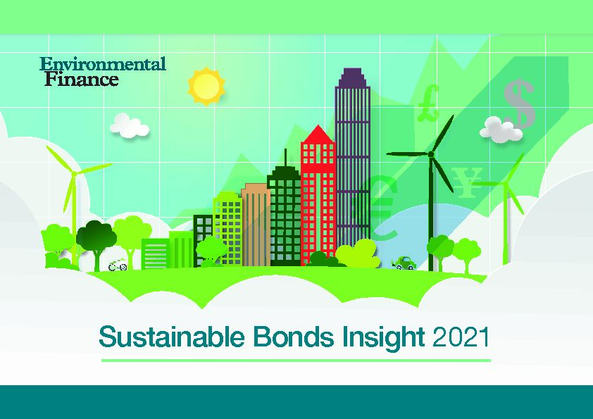 sustainable-bonds-insight-2021.pdf