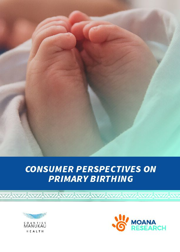 [PDF] CONSUMER PERSPECTIVES ON PRIMARY BIRTHING