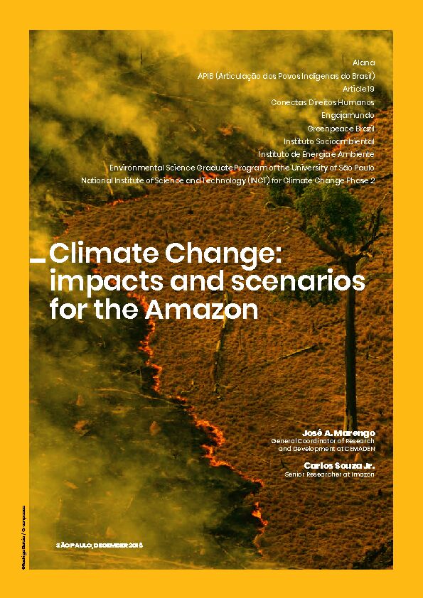 Climate Change: impacts and scenarios for the Amazon