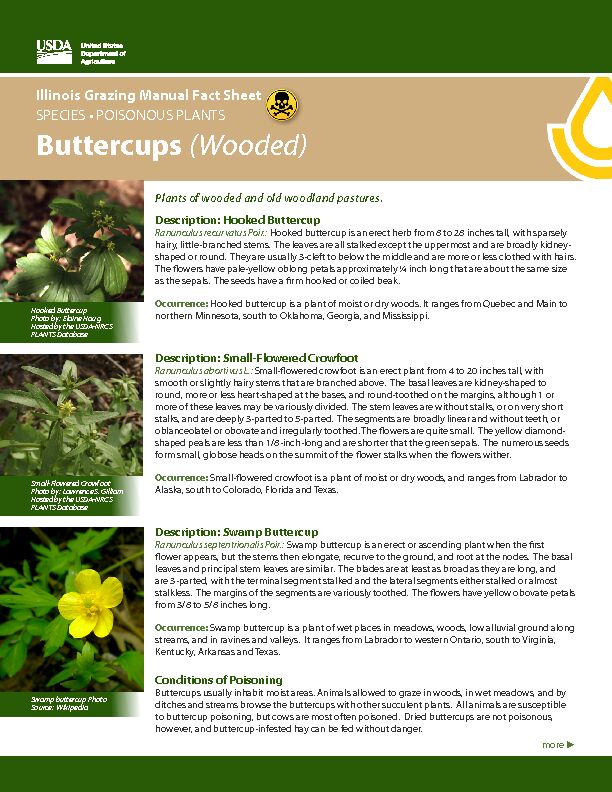 [PDF] Buttercups (Wooded) - Natural Resources Conservation Service