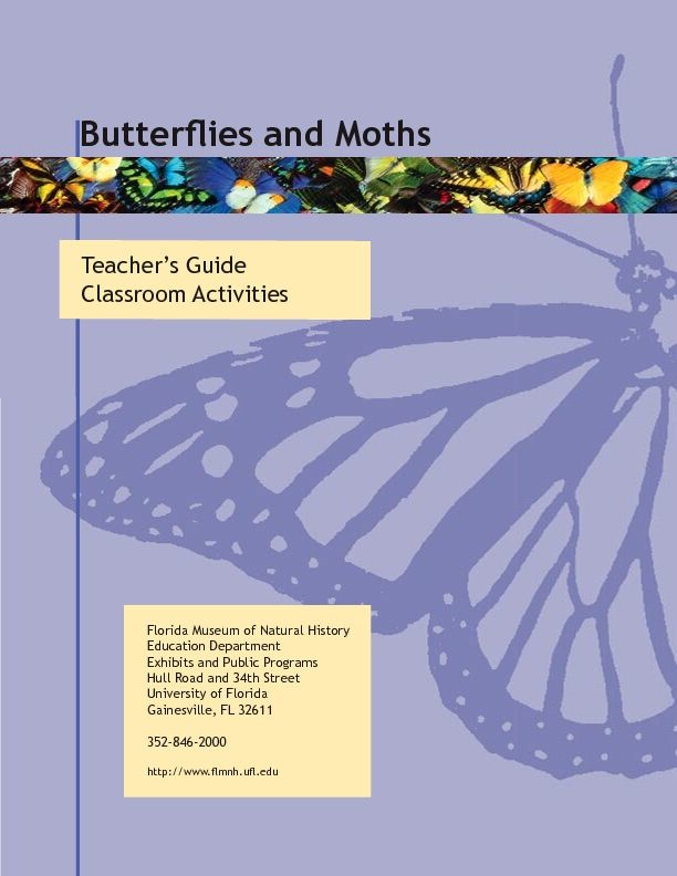[PDF] Butterflies and Moths - Florida Museum of Natural History