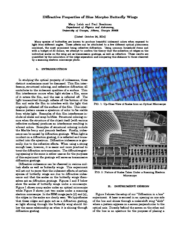 [PDF] Diffractive Properties of Blue Morpho Butterfly Wings
