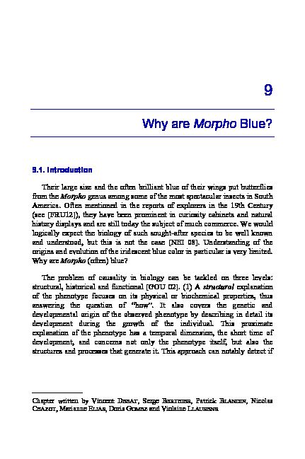 [PDF] Why are Morpho Blue? - Vincent Debat Homepage