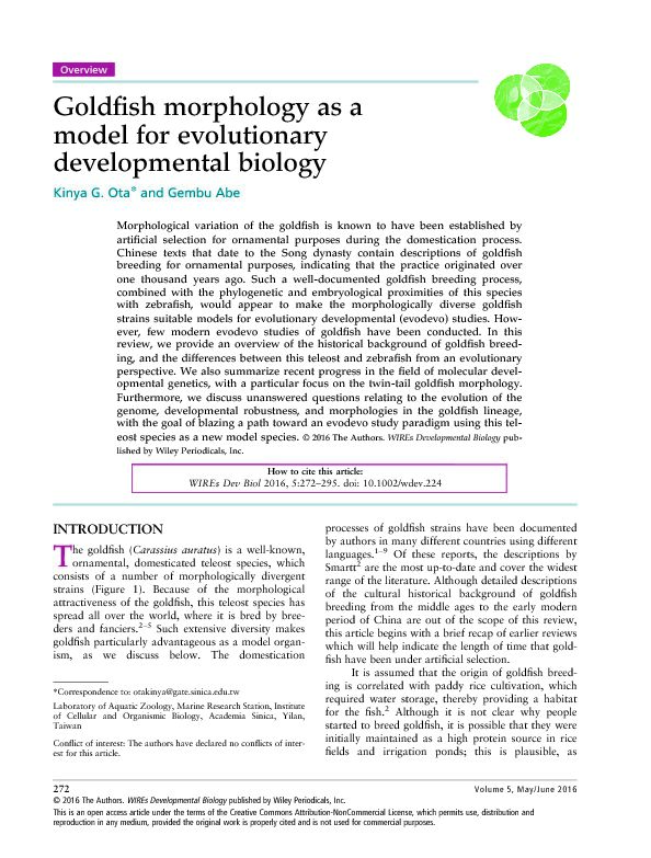 [PDF] Goldfish morphology as a model for evolutionary developmental