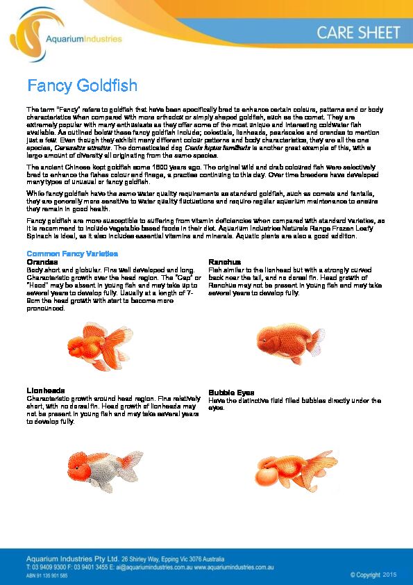 [PDF] Fancy Goldfish  Aquarium Industries
