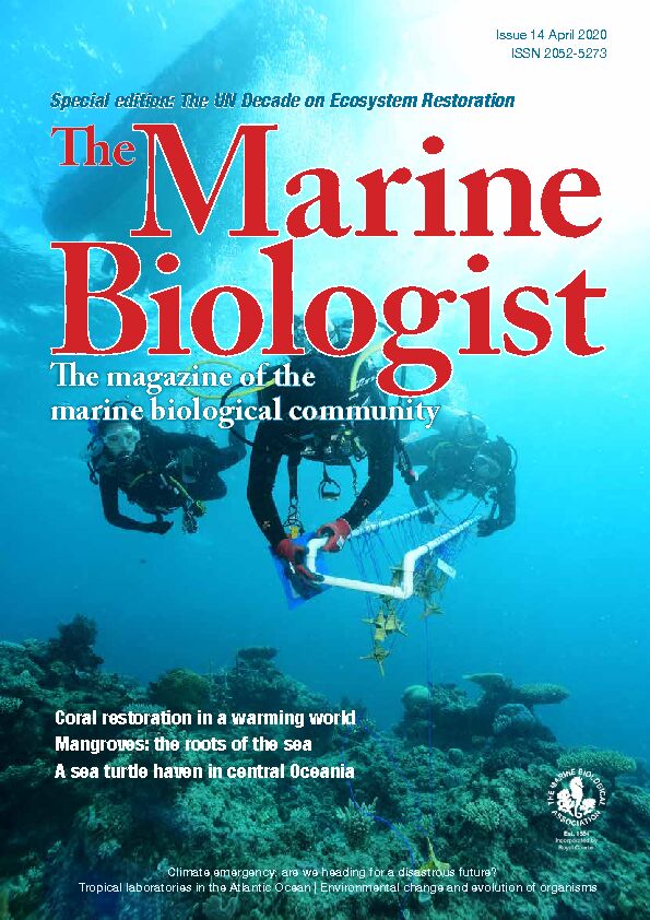 [PDF] The Marine Biologist Issue 14pdf - CHM  CBD